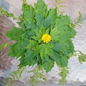 Meet your Posher, Reshma